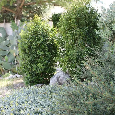 Albachiara Bed & Breakfast