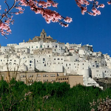 Albachiara Bed & Breakfast 3*