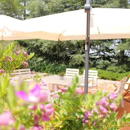 Albachiara مونوبولي