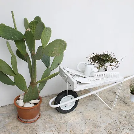 Albachiara 3* Monopoli