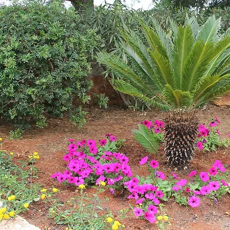 Albachiara فندق مبيت وإفطار مونوبولي